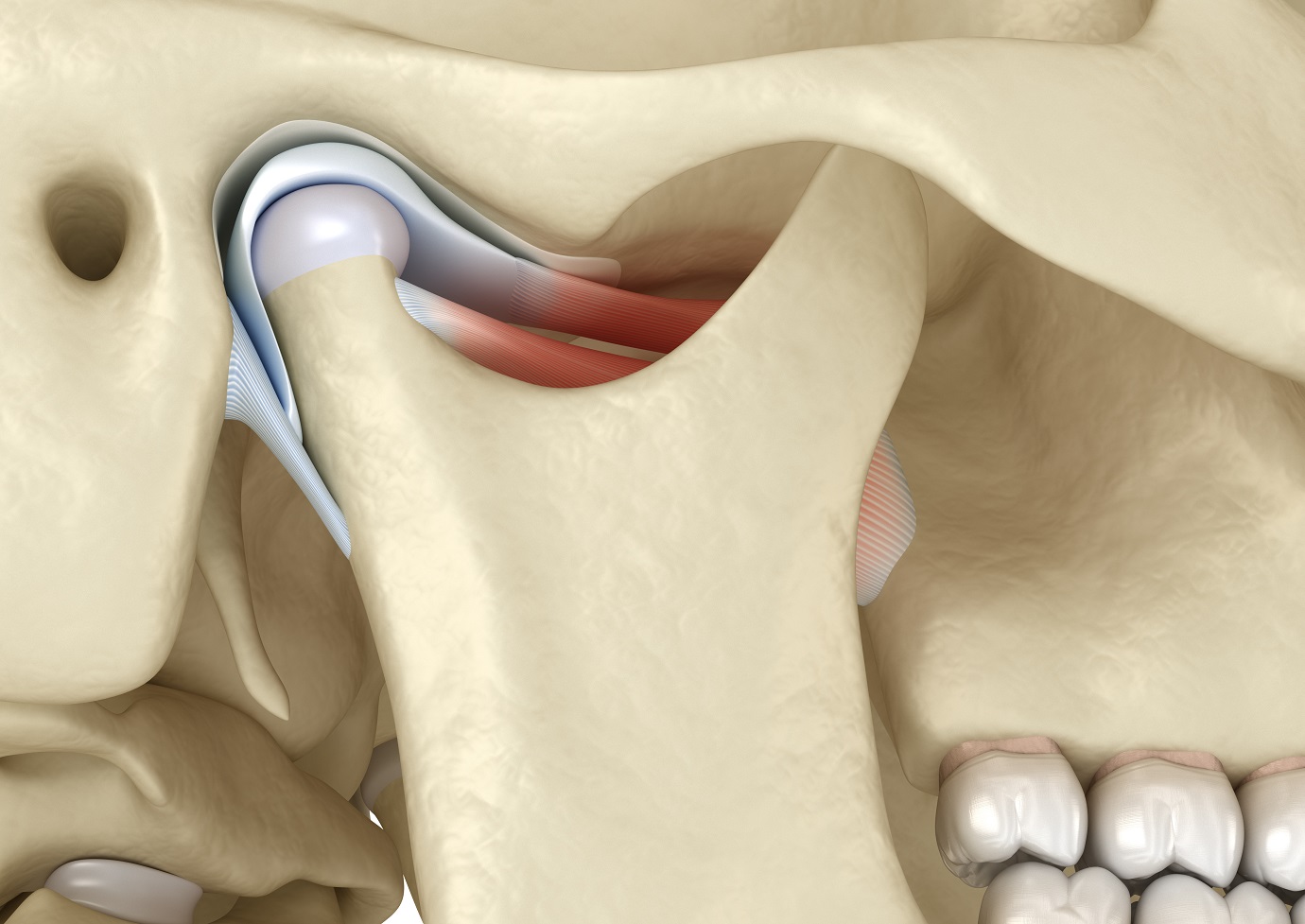 Find Relief with TMJ Treatment