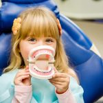 A small child plays with artificial jaws. Children's dentistry. Dental office.