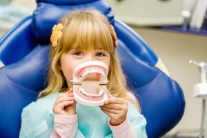 A small child plays with artificial jaws. Children's dentistry. Dental office.