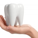 Woman holding ceramic model of tooth on white background