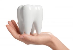 Woman holding ceramic model of tooth on white background