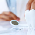 dentist holding molar,dental concept